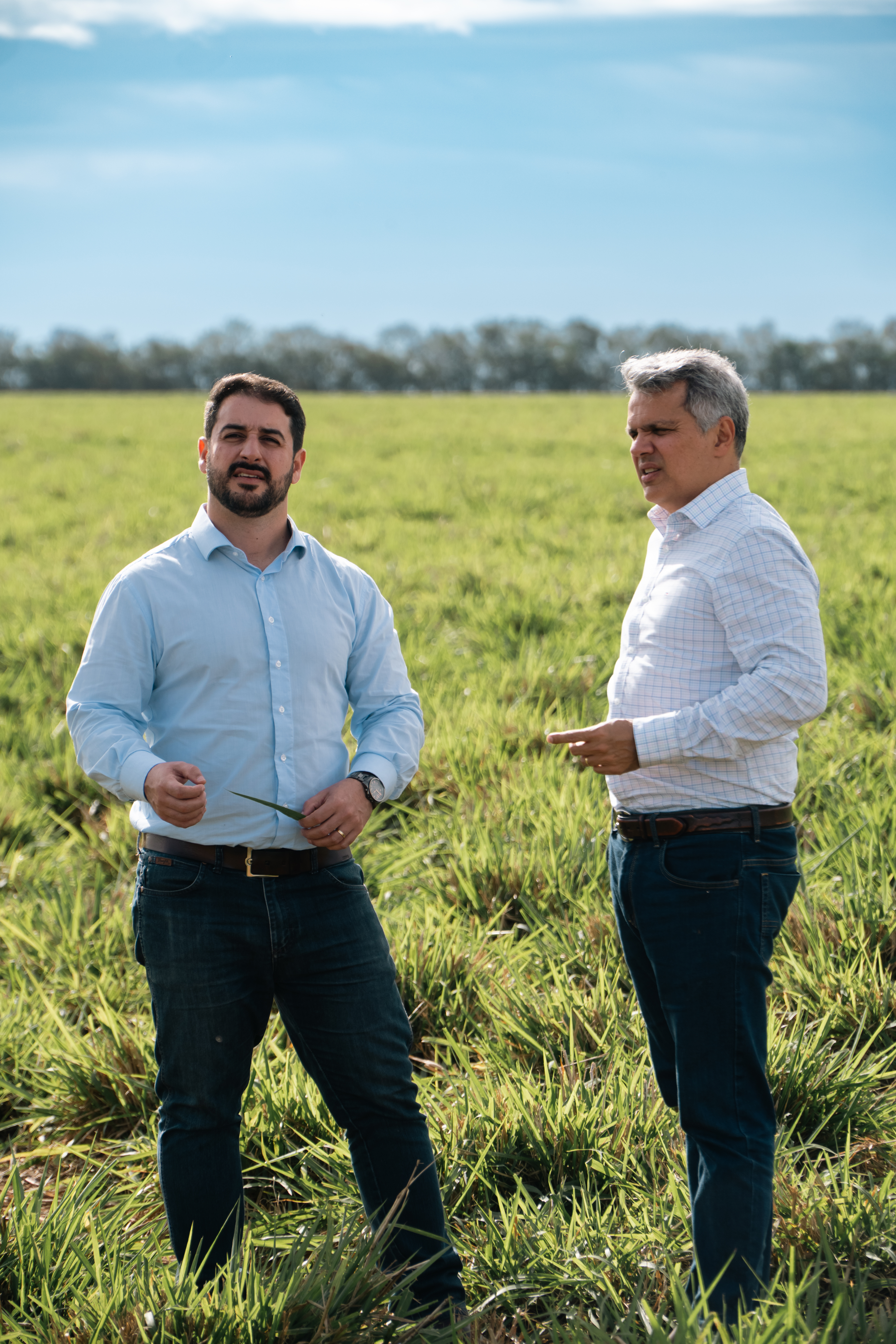 Lideranças no campo junto ao gado